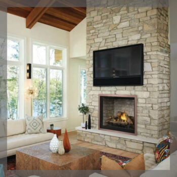Napoleon Elevation 42 Direct Vent Gas Fireplace